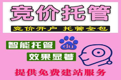 数字营销的利器：sem运营公司案例